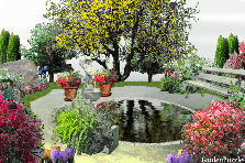 Garden design:lovely pond view Garden design:relaxing pond
