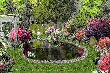 Garden design:Pond Garden design:The Pond
