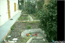 Garden design: Garden design:giardinobasic
