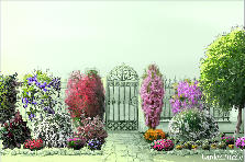 Garden design:gate garden Garden design:Garden Gate
