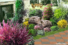 Garden design: Garden design::-))