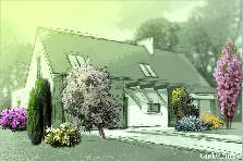 Garden design: Garden design:Front