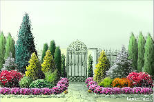 Garden design:-- Garden design:No Name