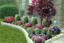 Garden design:Low maintenance landscaping selections for front left bedding area Garden design:Carlile Property