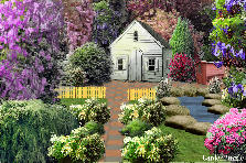 Garden design: Garden design:coy pond