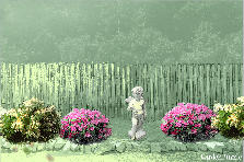 Garden design: Garden design:Backyard center