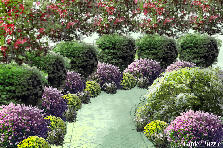 Garden design: Garden design:tiers