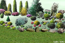 Garden design: Garden design:kiemely