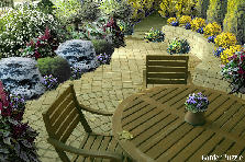 Garden design:xxxxx Garden design:in the shade...