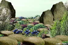 Garden design: Garden design:Watch your step!