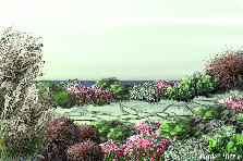 Garden design: Garden design:Experience Cabo!