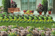 Garden design:cheerfull garden....... Garden design:love spring...