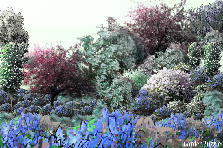Garden design:dusk Garden design:dusk
