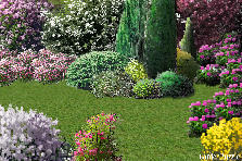 Garden design:A closer look at the flower garden. Naji, this is for you. Garden design:deeply