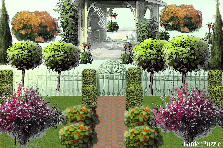 Garden design: Garden design:trizte dia