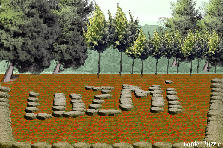 Garden design: Garden design:my name