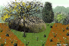 Garden design: Garden design:La Roca