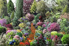 Garden design:I literally crammed into this design every single flower or plant I could find, this isn't a serious project, just a bit of fun :D Garden design:Just a bit of fun guys ;)