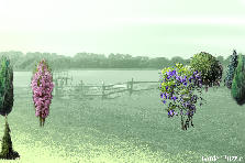 Garden design:e Garden design:tt