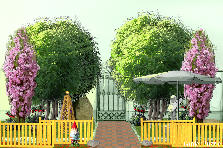 Garden design: Garden design:Mini forest
