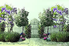 Garden design:Cute little garden with a gate set in the middle. Symmetrical. Garden design:Gate Garden