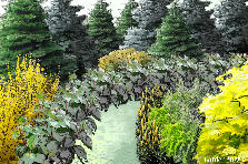 Garden design: Garden design:Keeping it green
