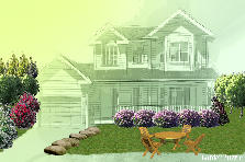 Garden design: Garden design:front yard