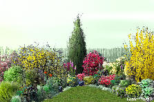 Garden design: Garden design:Front Garden
