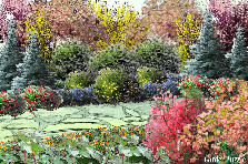 Garden design: Garden design:Daydream stroll
