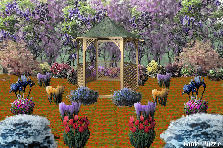 Garden design: Garden design:Secret