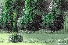 Garden design: Garden design:il muro delle rose
