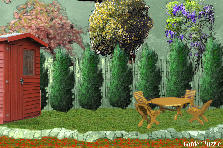 Garden design:gagagagagdfg Garden design:my garden