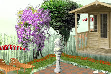 Garden design:gagagagagdfg Garden design:my garden2