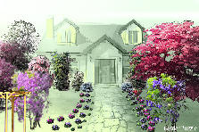 Garden design: Garden design:Charlton street view