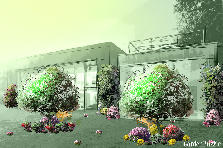Garden design:Front garden first sight.
Garden design:Garden 1