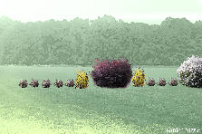 Garden design:NE Fence line - Gettysburg Garden design:NE Fence Line