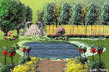 Garden design: Garden design:MY GARDEN