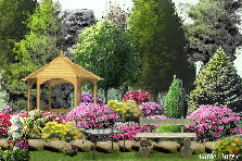 Garden design:hahaha Garden design:aw