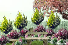 Garden design: Garden design:my 1st