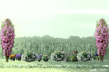Garden design:This garden is FULL of different colored and types of flowers. Garden design:Flower Diversity