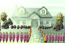 Garden design:pretty Garden design:gardning