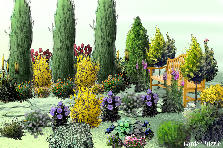 Garden design: Garden design:pathway