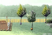 Garden design:My second prject
Garden design:Bench and Trees