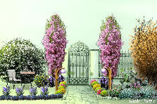 Garden design: Garden design:Vuon xuan