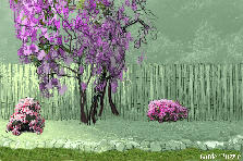 Garden design: Garden design:Side yard on eastern side of house