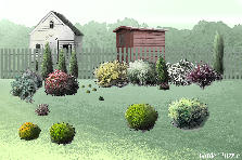 Garden design: Garden design:the firts one