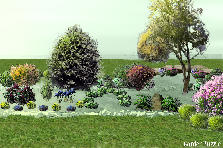 Garden design: Garden design:butterfly garden revamp