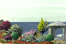 Garden design: Garden design:mmm