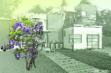 Garden design:testing vertifarm Garden design:Test