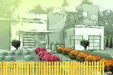 Garden design: Garden design:my 1st house